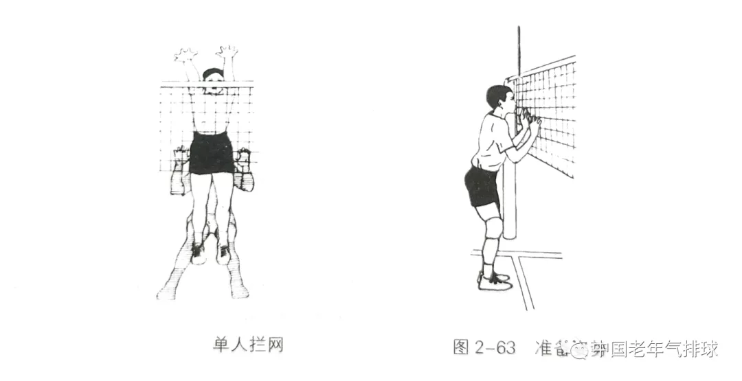 排球常见的移动步法一共有几种(关于气排球单人拦网动作与技术分析)