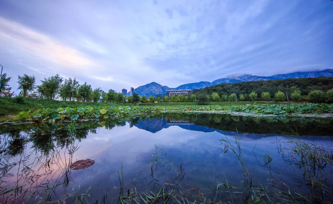 「权威发布」大连理工大学2020年本科分省分专业招生计划