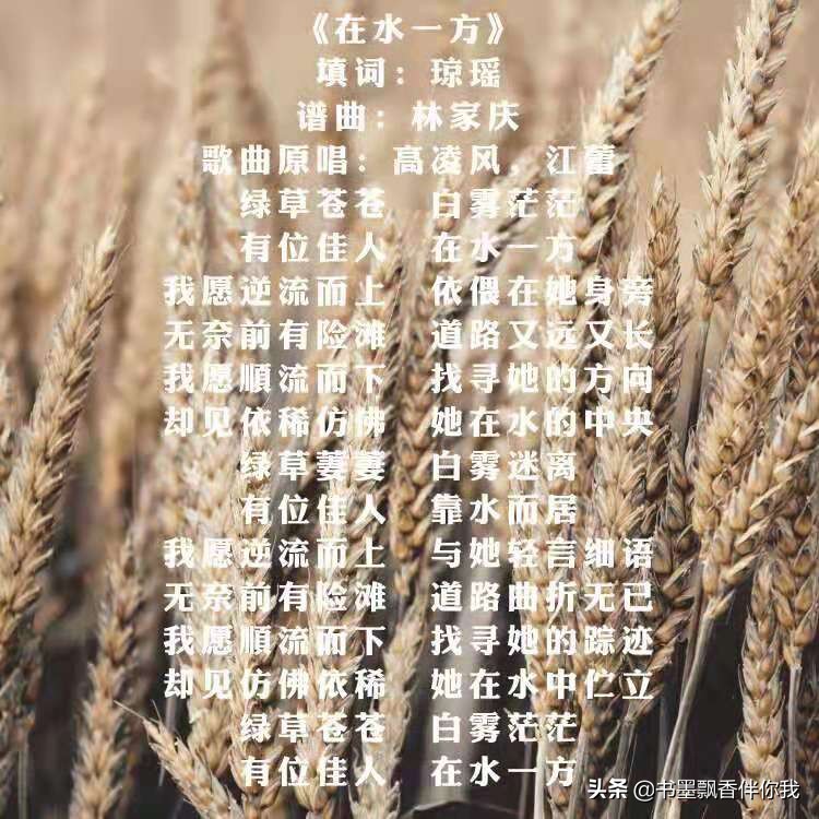 蒹葭苍苍怎么读（寒露为霜,蒹葭苍苍怎么读）-第1张图片-尚力财经