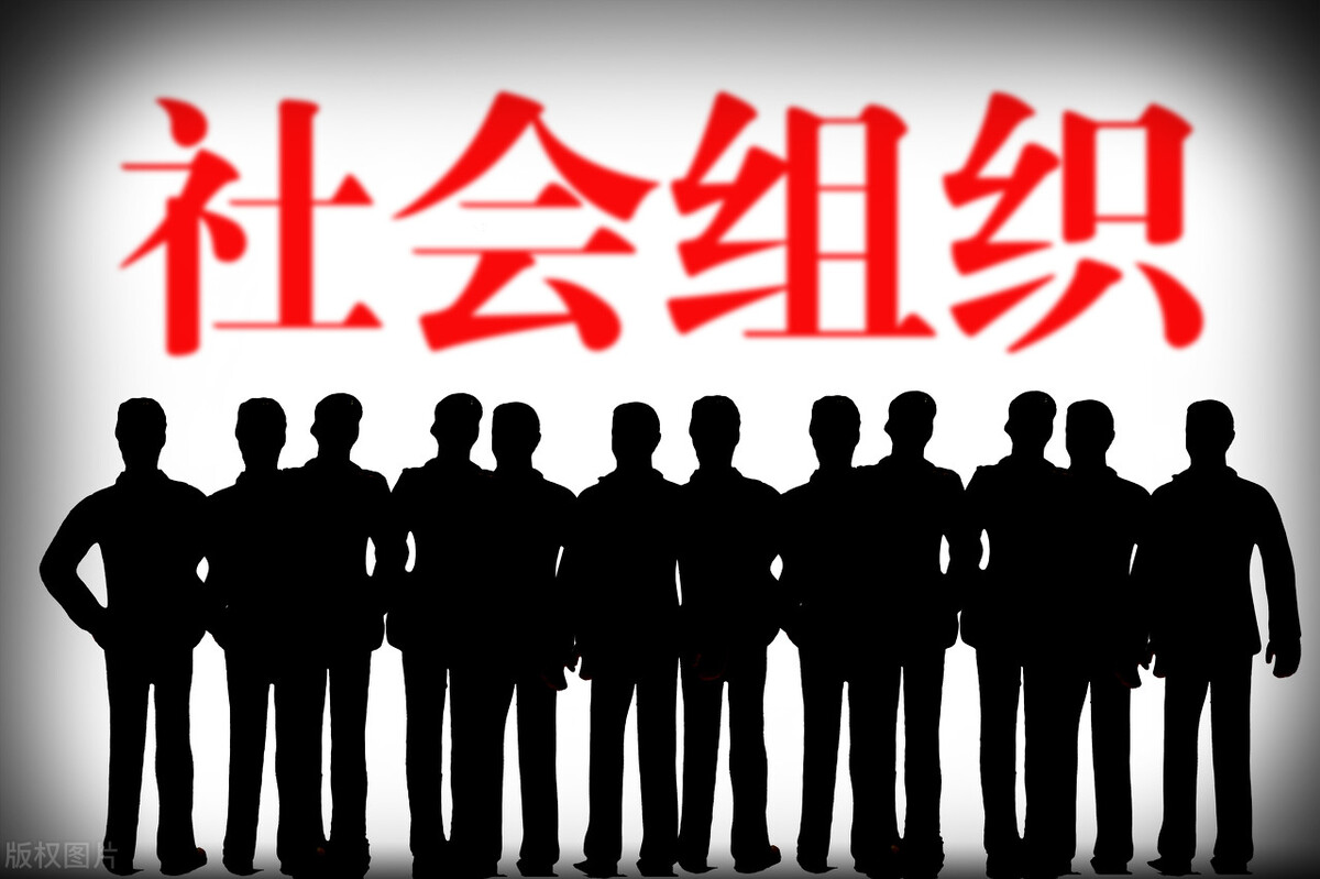 社会团体（太原新成立14个社会组织）