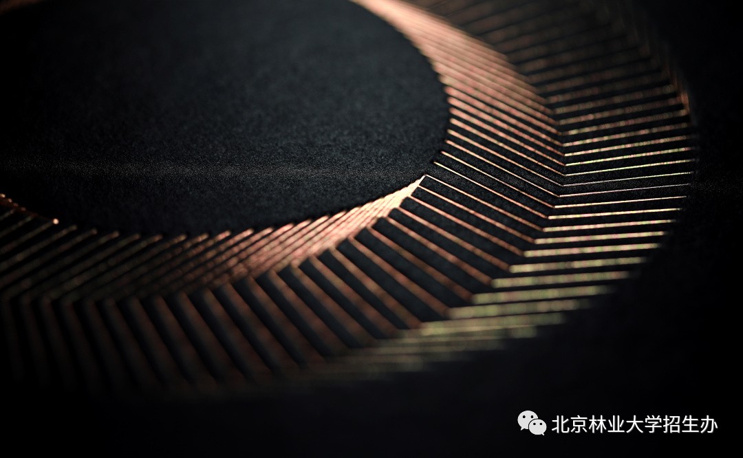 为了讲好八个字的校训，这所学校用了三年...