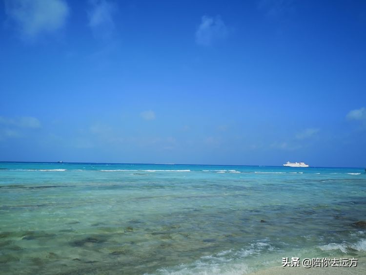 西沙~南海中的一片莲