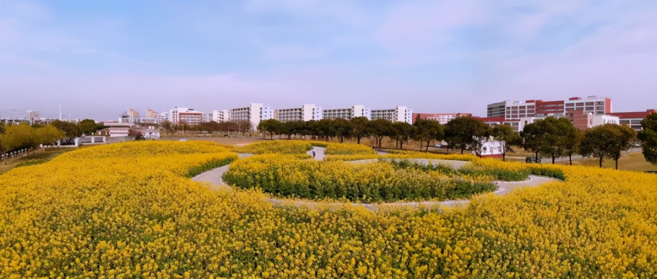 瞩目！中国最大经济中心、