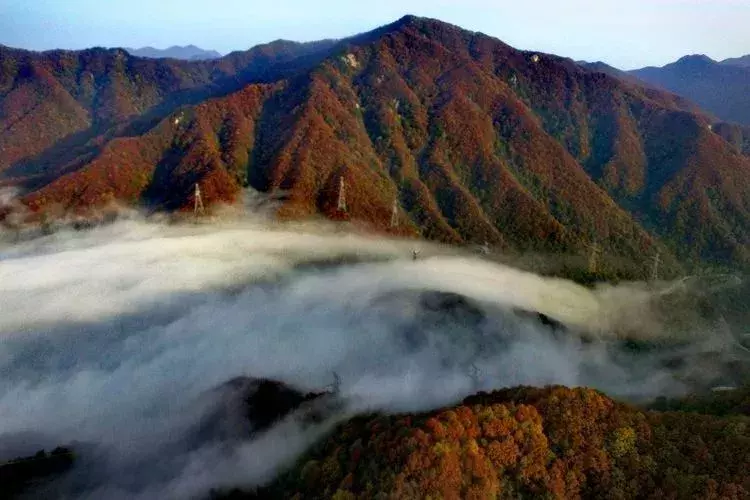 中国醉美秋色在秦岭,2条自驾路线解锁最绚烂秋景,10月最美