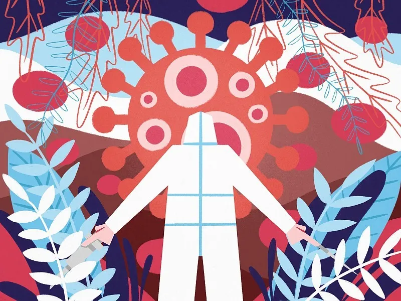 56范文（名师的高考作文）| 2020年高考语文作文详解（全国Ⅱ卷）