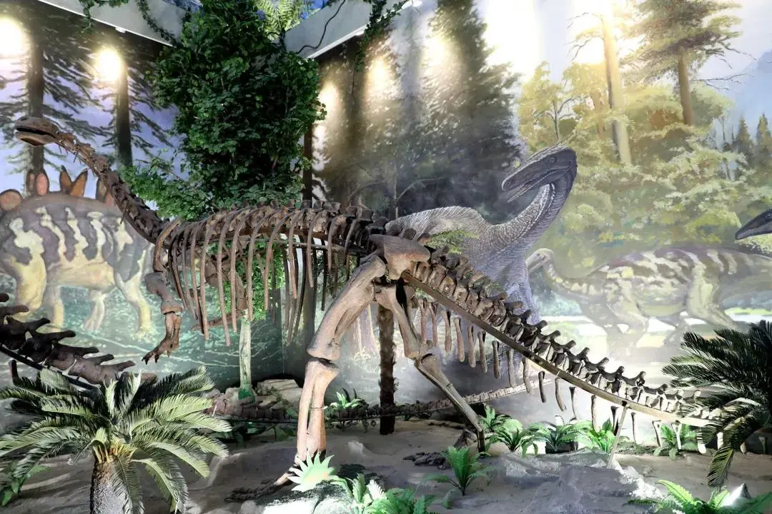 长安大学，来了