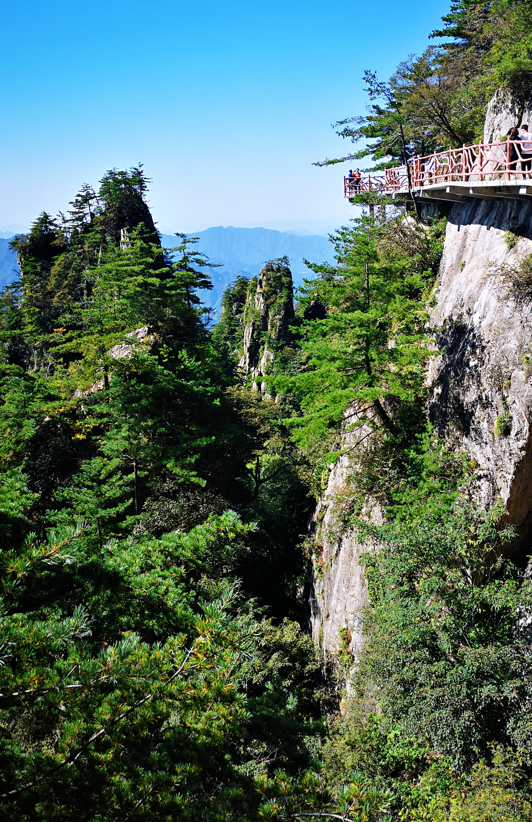 老君山攻略要注意什么（洛阳栾川老君山旅游攻略）