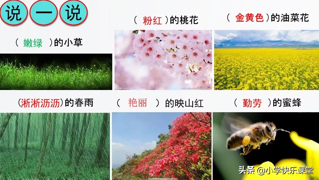 ׽Բ(cang)Ĳôд׽ԲصĲô(me)дźÿ-17ͼƬ-(le)Ѷ