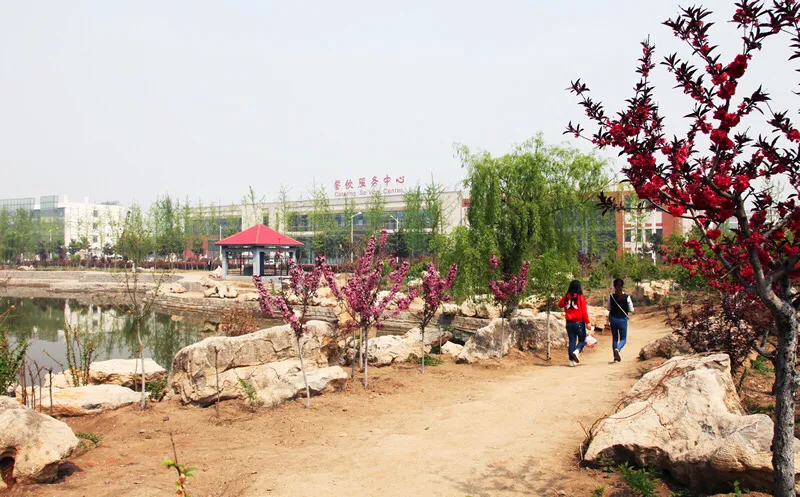 【教育看山东】山东医学高等专科学校