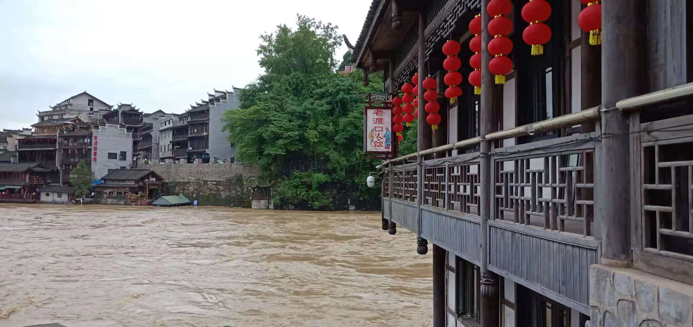 七绝 雨梦清晨