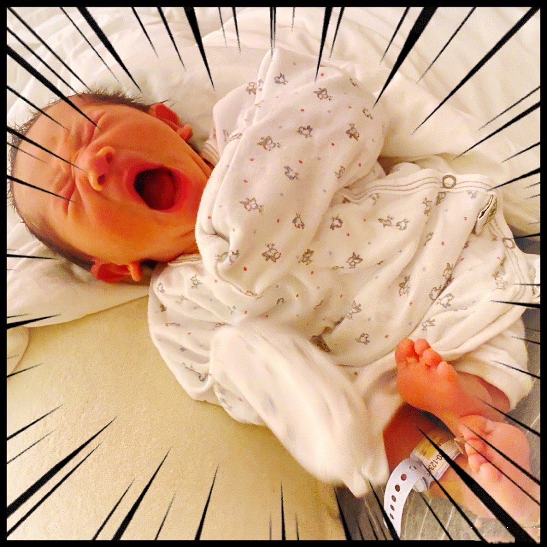 应采儿罕晒次子视频，HoHo举着红旗一路小跑，露小乳牙萌态尽显