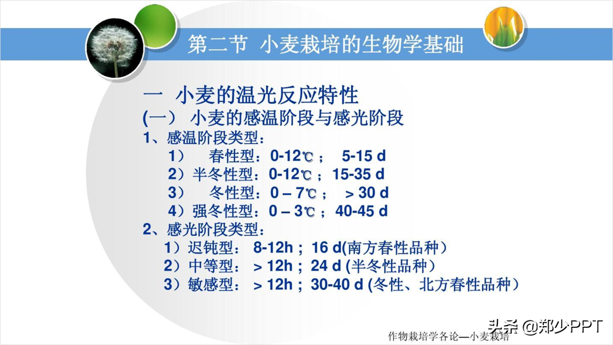 用了2个小时，设计了一份农作物栽培PPT，同事说效果很赞