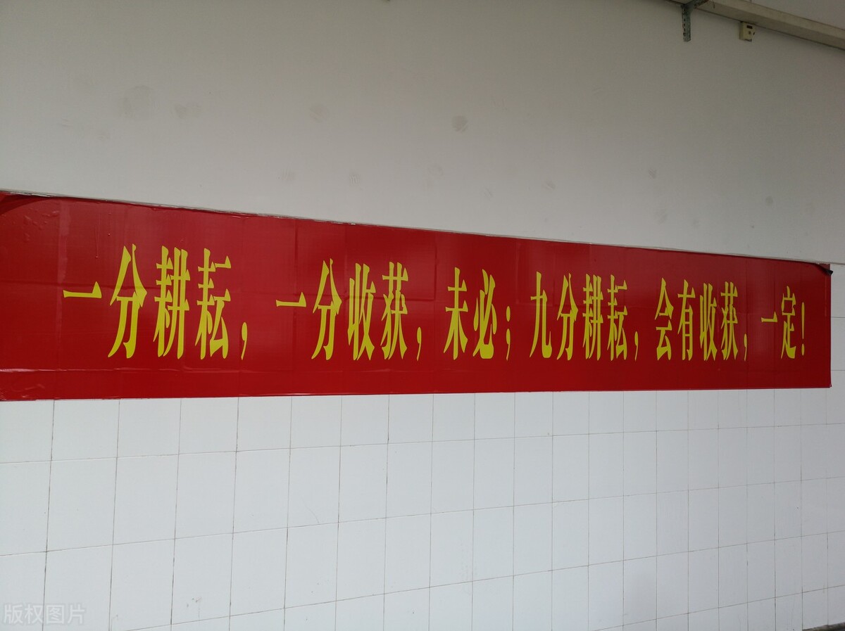 高考一分的差距有多大？提高1分干掉千人不是梦，最大差达三千位