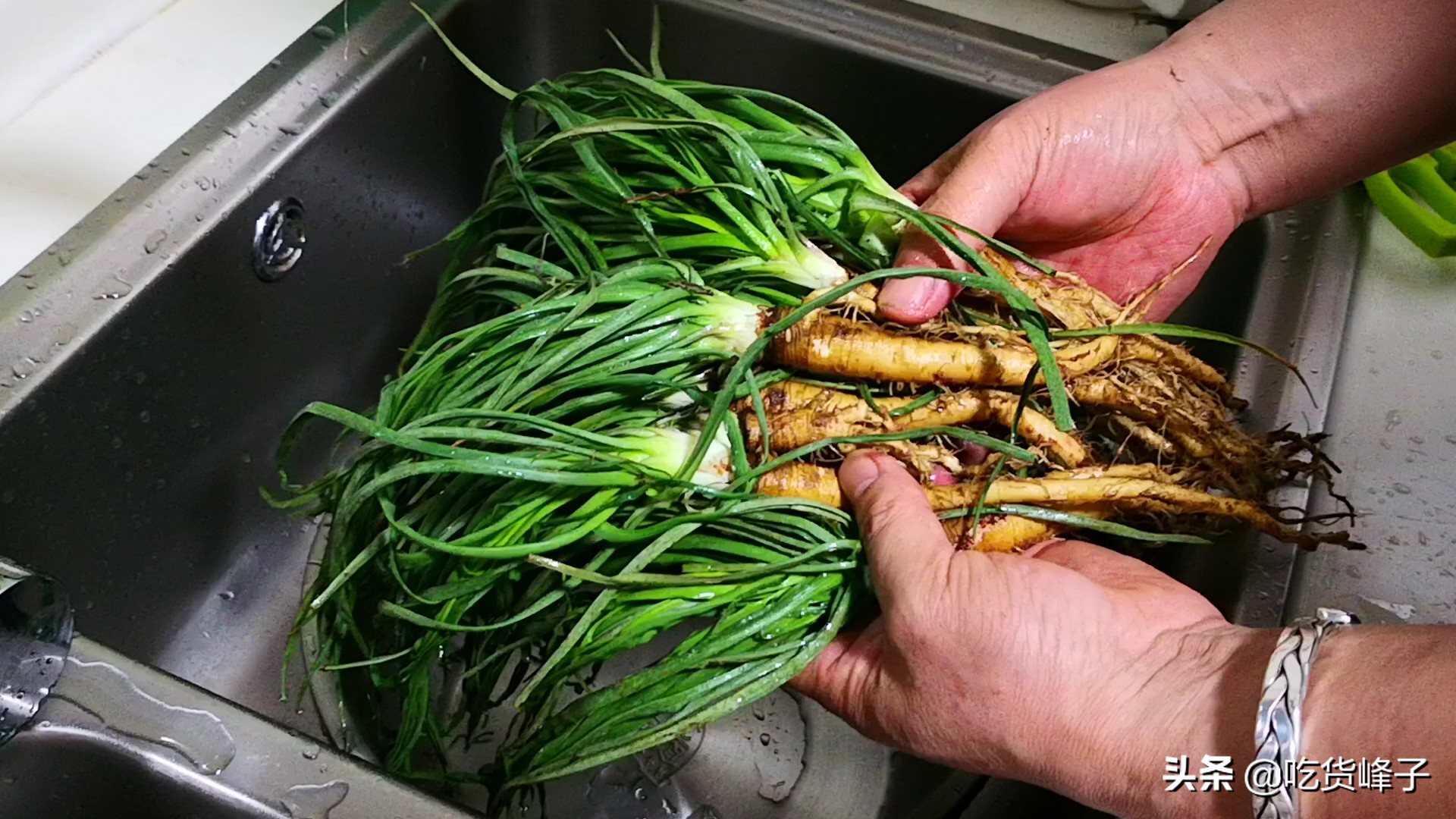 面条阔野菜吃法大全图片