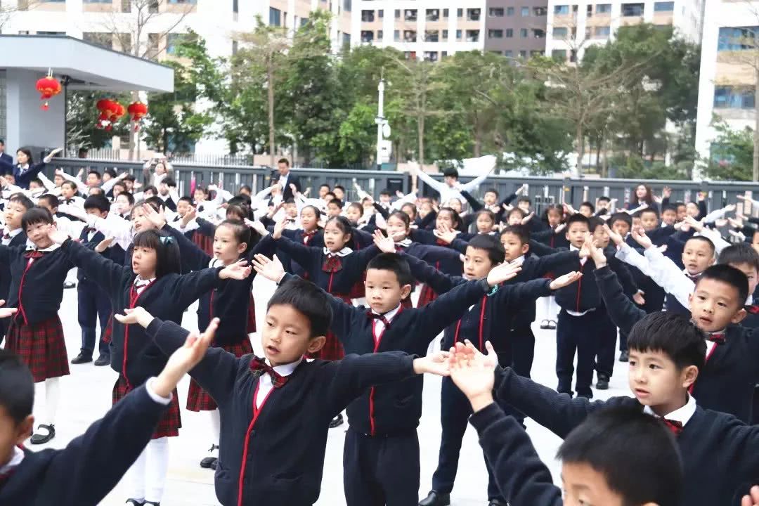 深圳华南实验学校(深圳华南实验学校怎么样)-爱妻自媒体