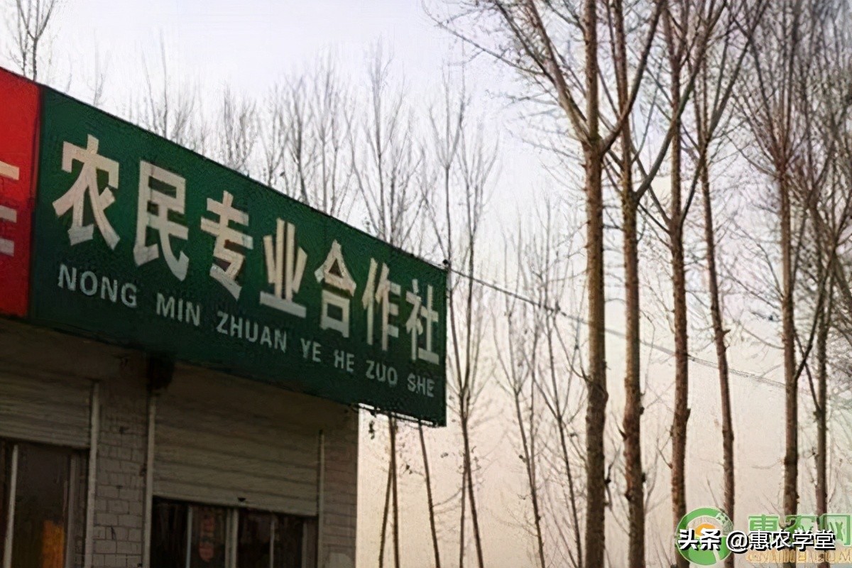 农业合作社补贴,农业合作社补贴找哪个部门