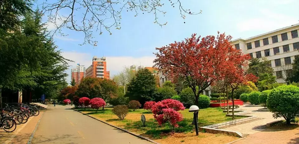 南阳师范学院2019年招生计划