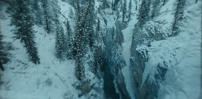《多哥》：一段425公里风雪之路的背后，是一场与死神的赛跑