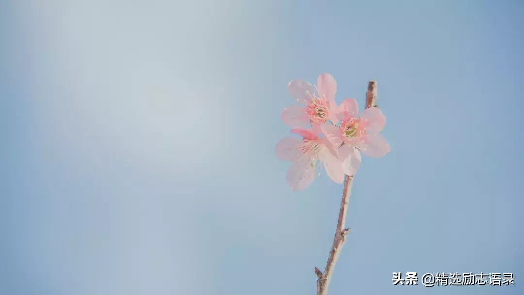 做人，要有骨气；做事，要有担当
