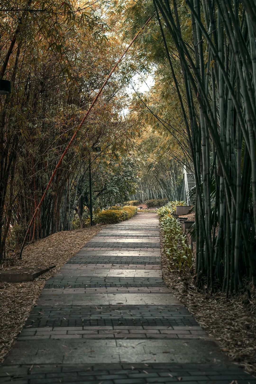 广东这所大学有广州、清远两校区。虽然是民办，但是环境超美