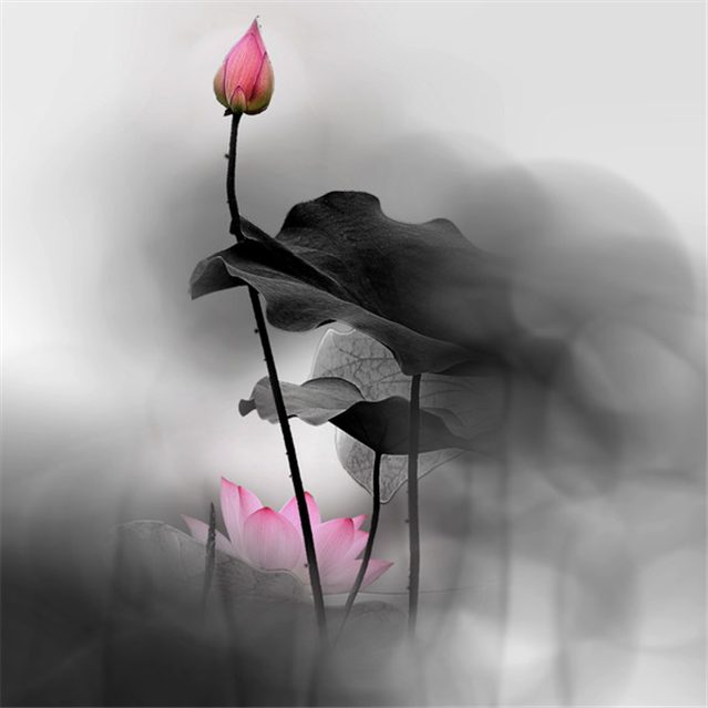 《大学》中最精髓的九句话，经典有深意，使人受益一生