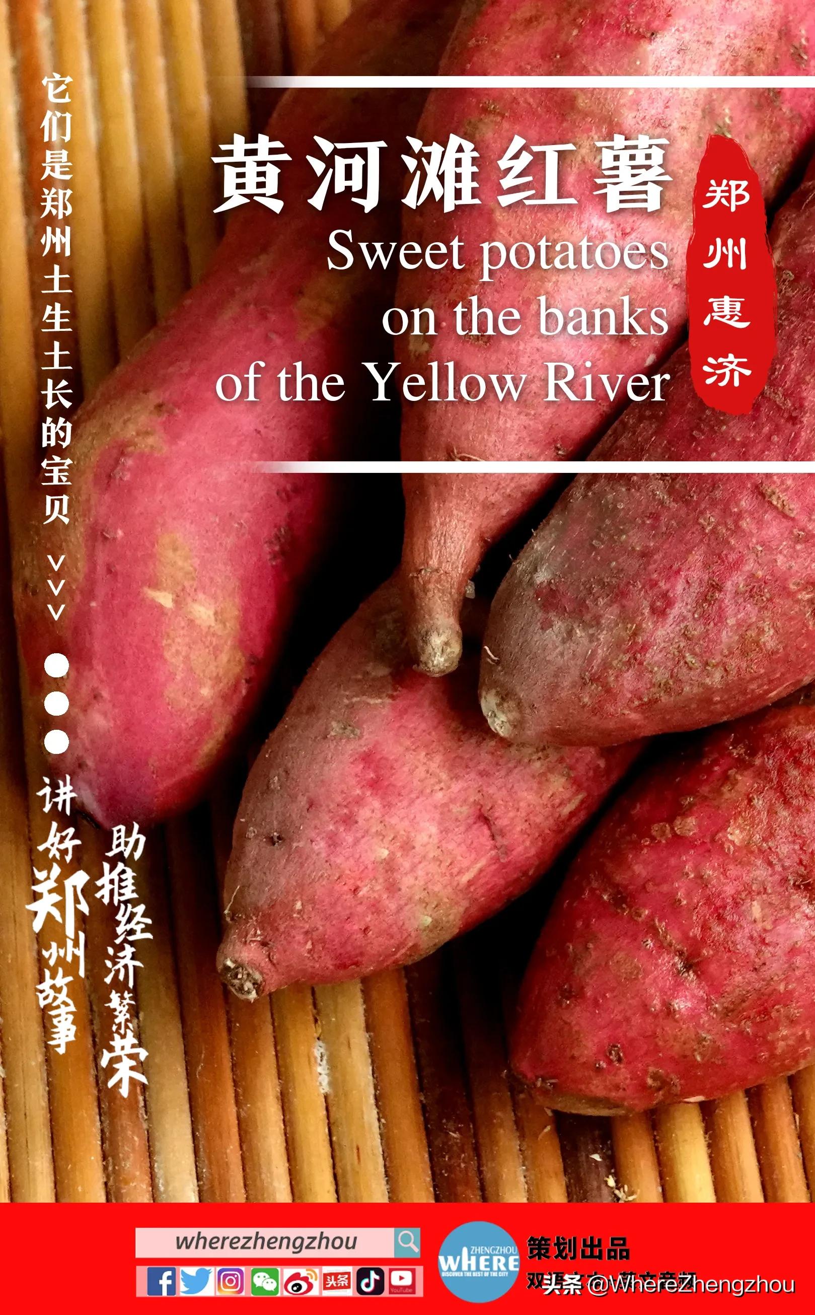 potatoesôpotatoesôӢ-Ȼ(wang)