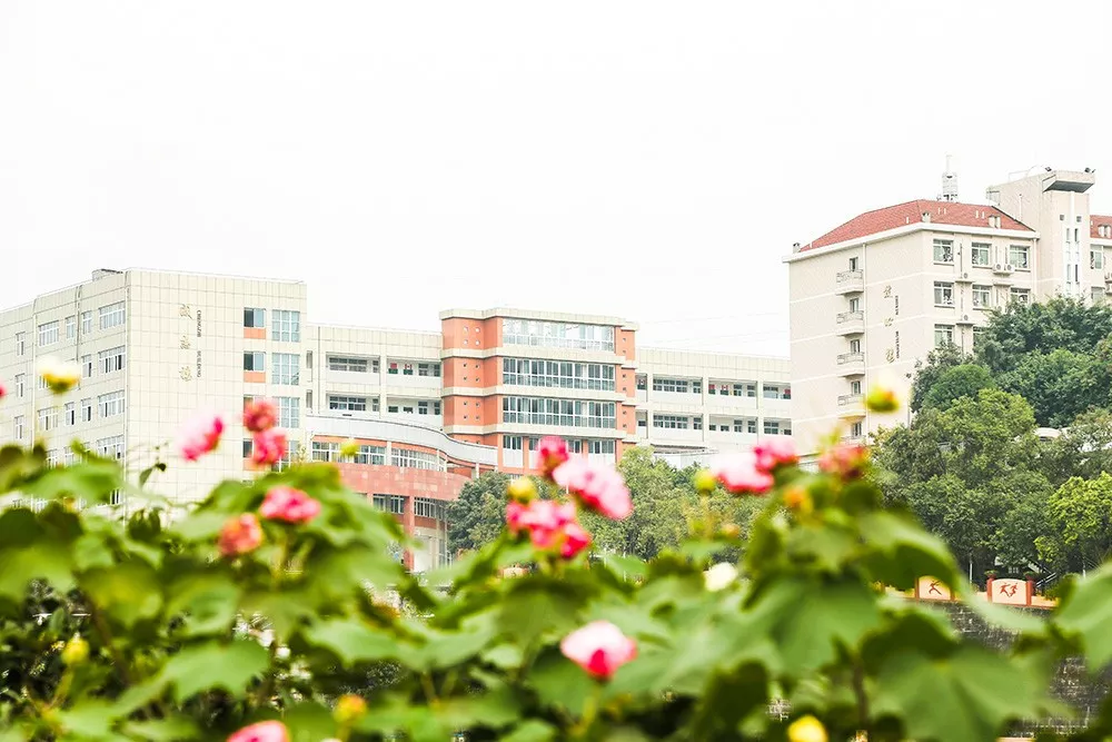 市外招收学生120人！绵阳外国语学校2020年高中招生公告出炉