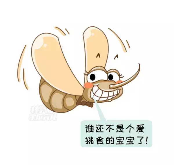 登革热病是由哪种动物传染的,登革热病是由哪个动物传染的