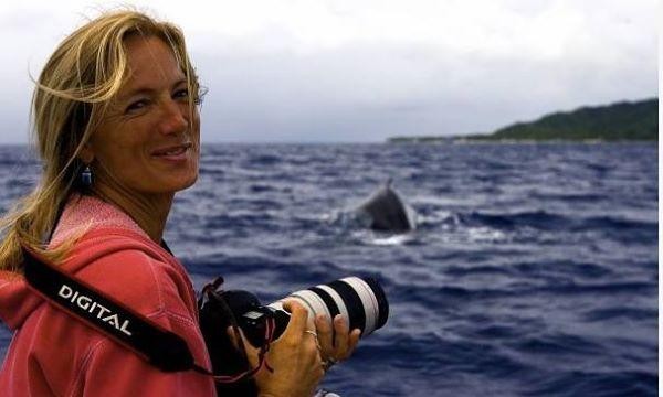 捕食频繁被座头鲸干扰，被人类圈养在水族馆，虎鲸有多可怜？