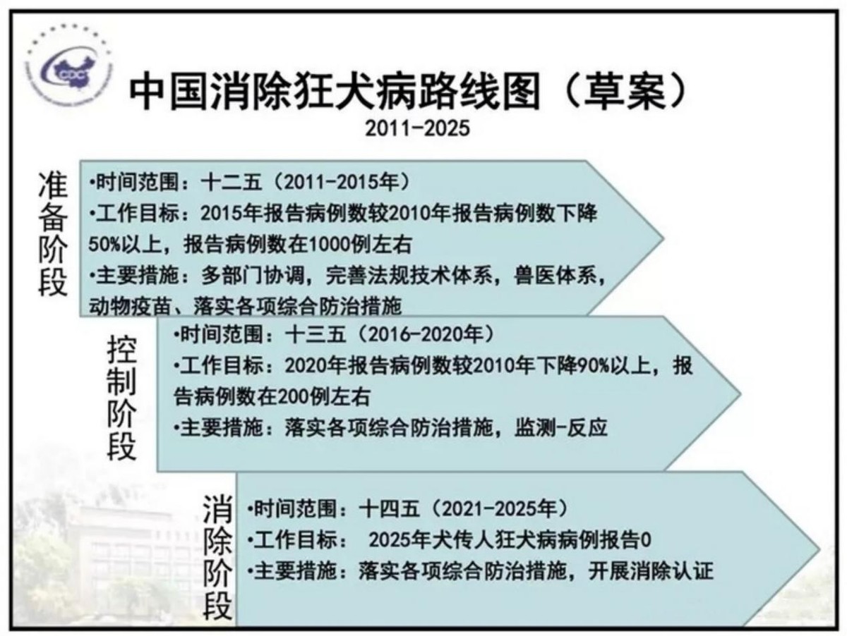 中国花100亿防疫狂犬病，代价第一却无用，而日本在60年前已消除