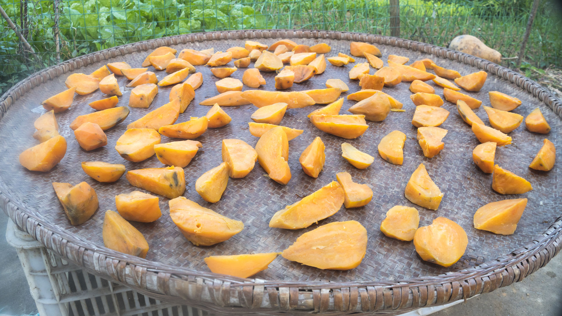 分享6款好吃小零嘴，自己在家就能做，简单易学还好吃，营养解馋