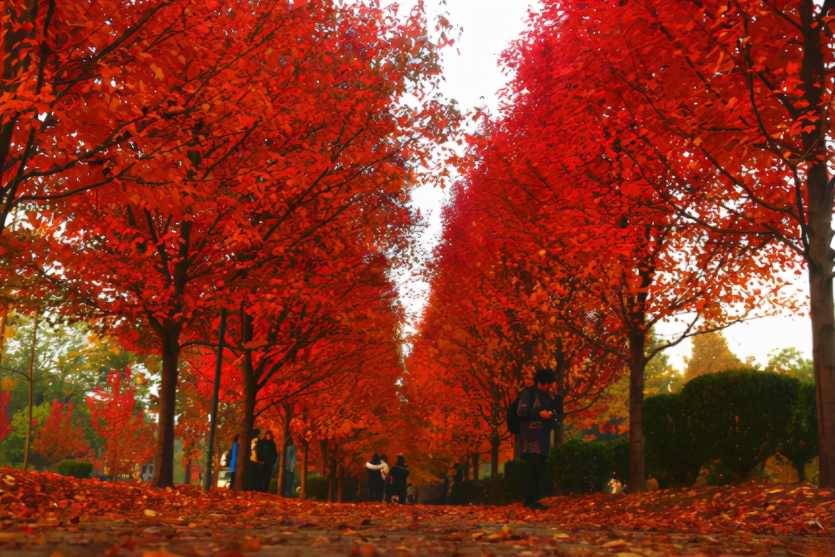 湖南一大学建造新校区，直接落户“小县城”，当地考生拍手叫好