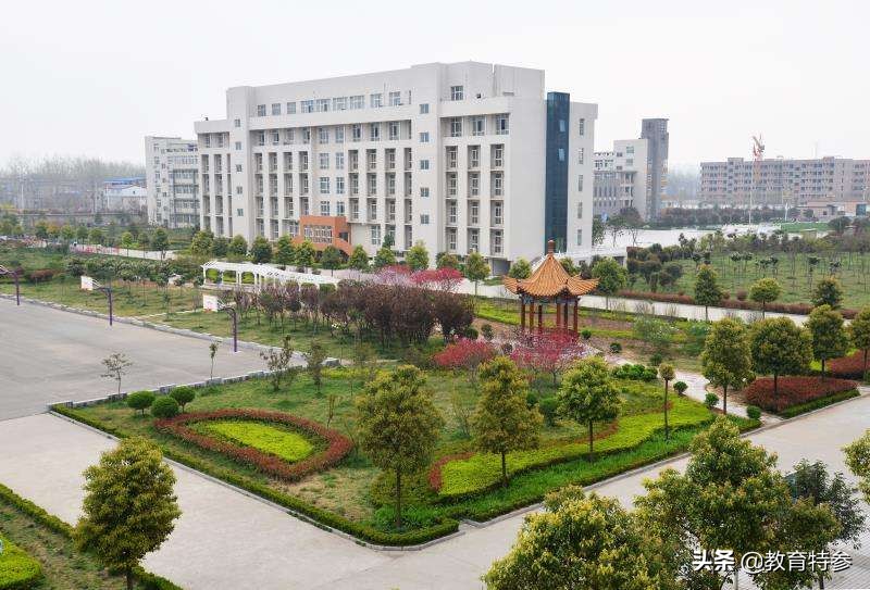 河南周口最好的5所高中，学霸云集，郸城一高32人考入清北