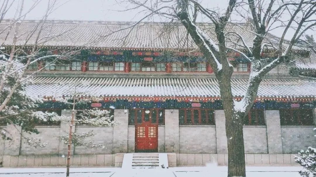 一所擅长“打酱油”的985大学，存在感很低，真实身份总被人忽视