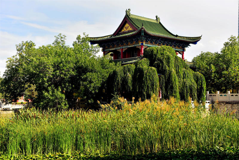 壮美北疆的非常之旅