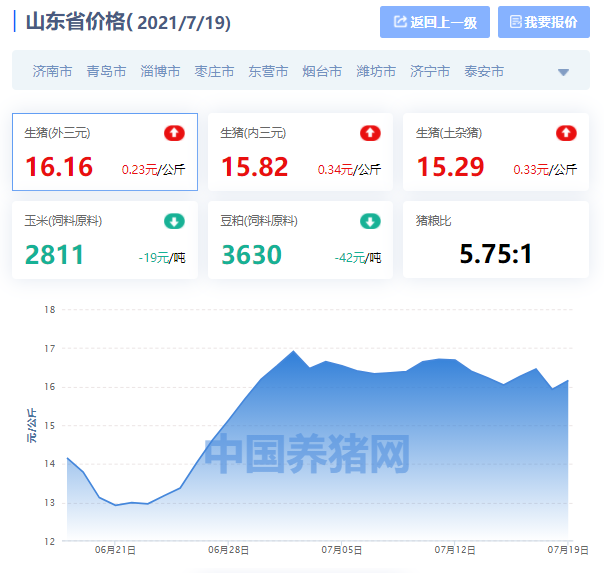 山东省生猪价格涨跌表｜2021年7月19日，济南、青岛大跌，日照涨