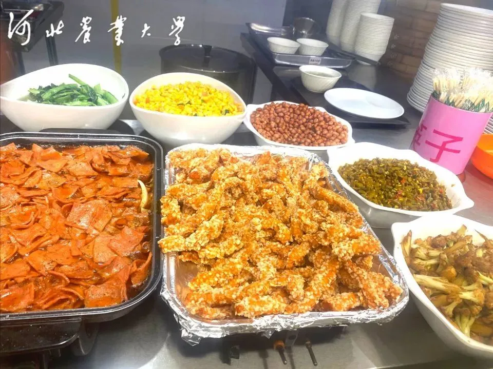 “河大的美女农大的饭”干饭人不能错过的河北农业大学来啦