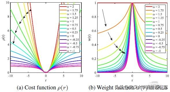 全球仅5人！武汉大学教师斩获又一国际大奖！