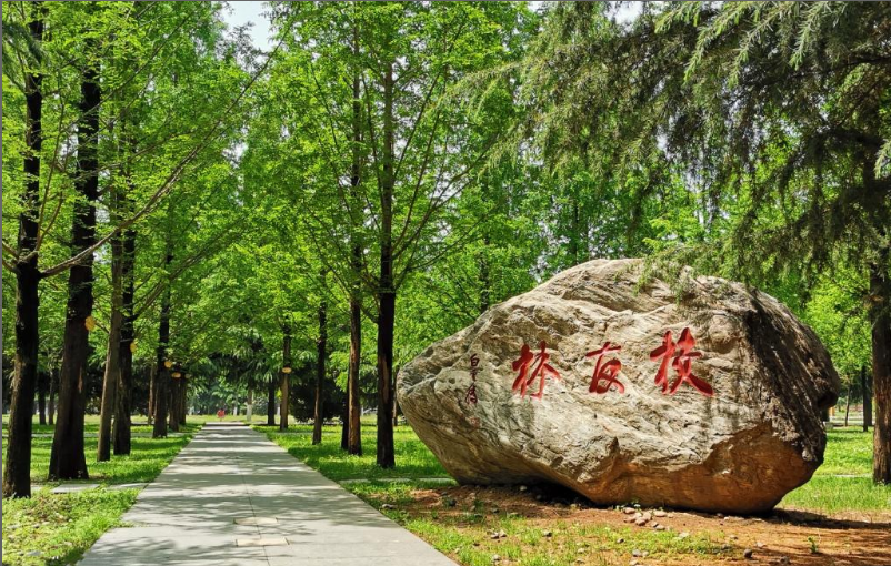 想考教师的同学注意了，这八所师范类大学，考编容易，就业好