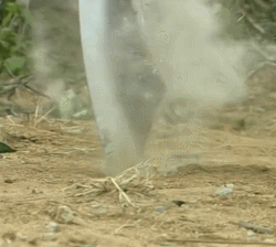 《九阳神功》全本，拿去！