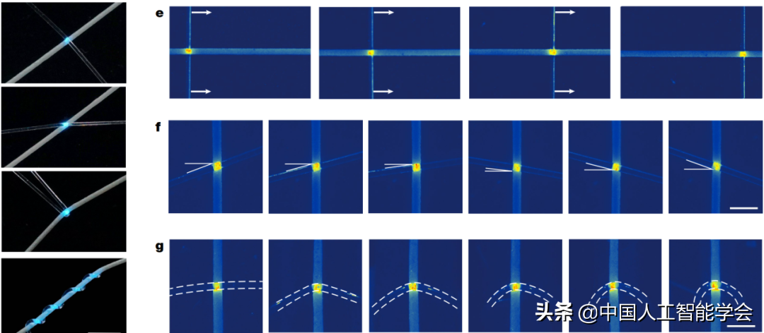 张立华教授课题组参与研发的全柔性织物显示系统登《自然》主刊