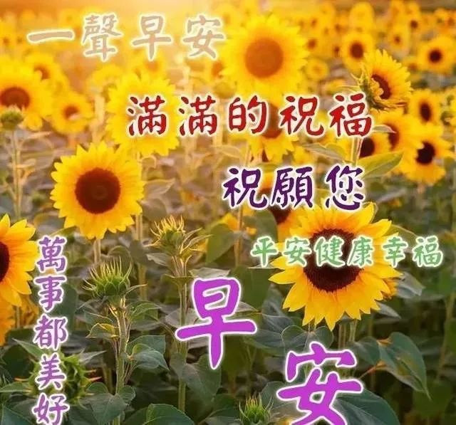 心贴心，情才能生情；心交心，情才能换情，早安