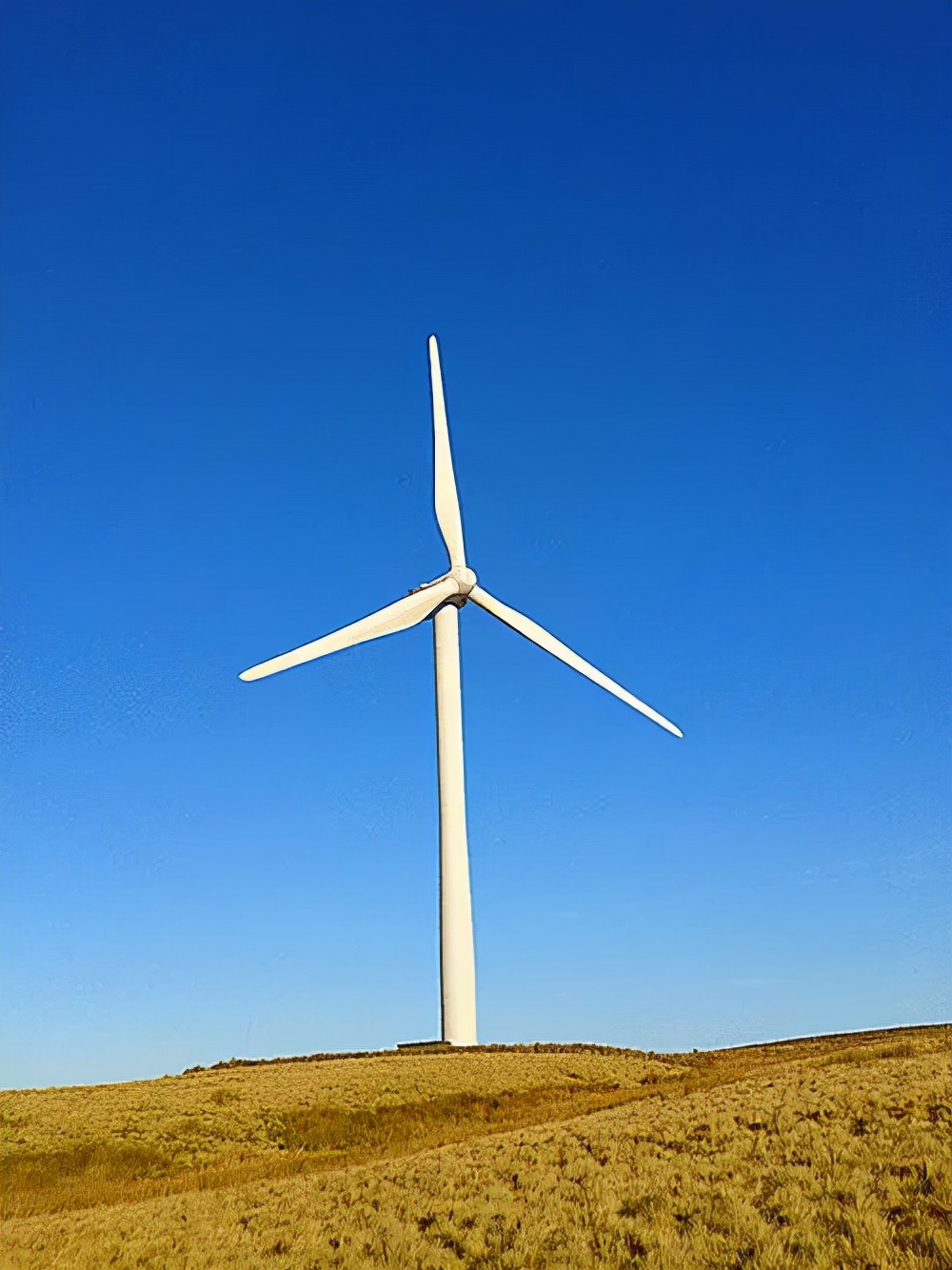 机械连接与功率传递水平轴风机桨叶通过齿轮箱及其高速轴与万能弹性联