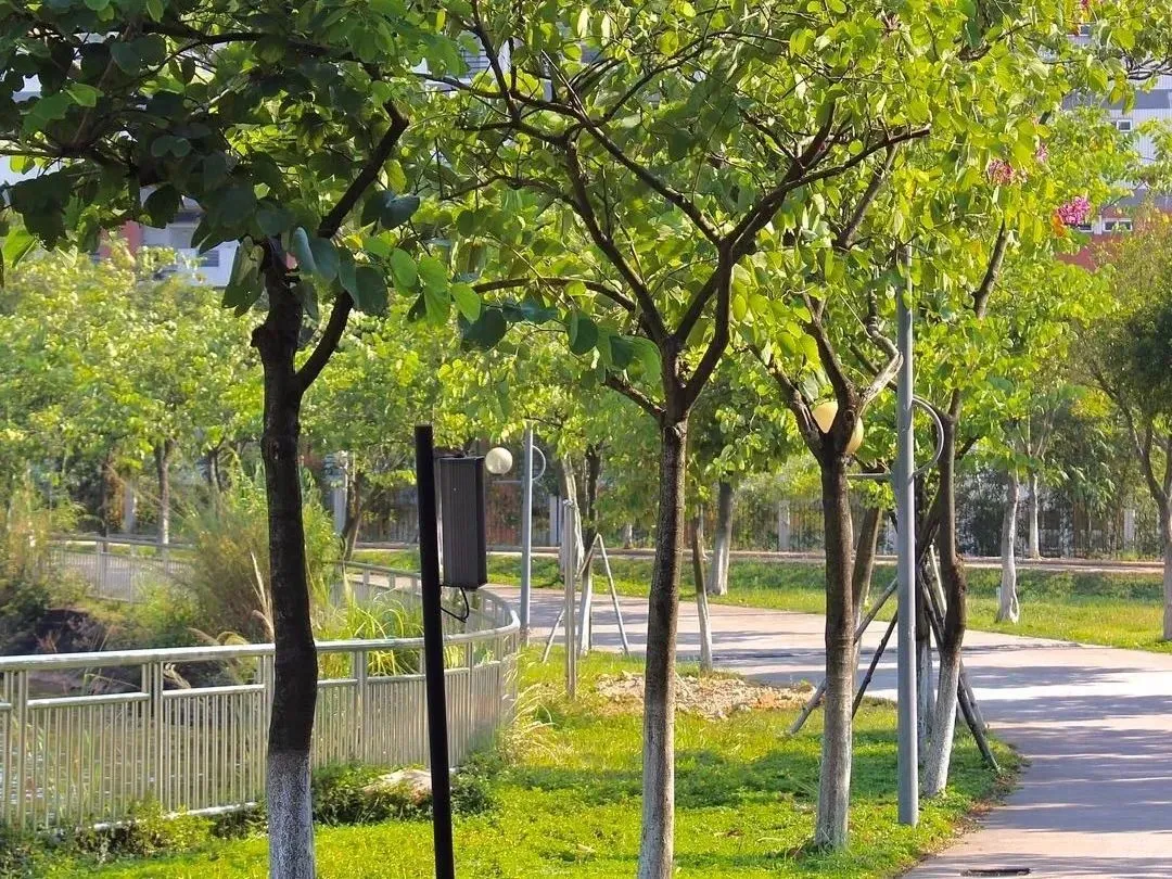 咨询电话！咨询群！广东财经大学21年本科招生咨询方式这里全都有