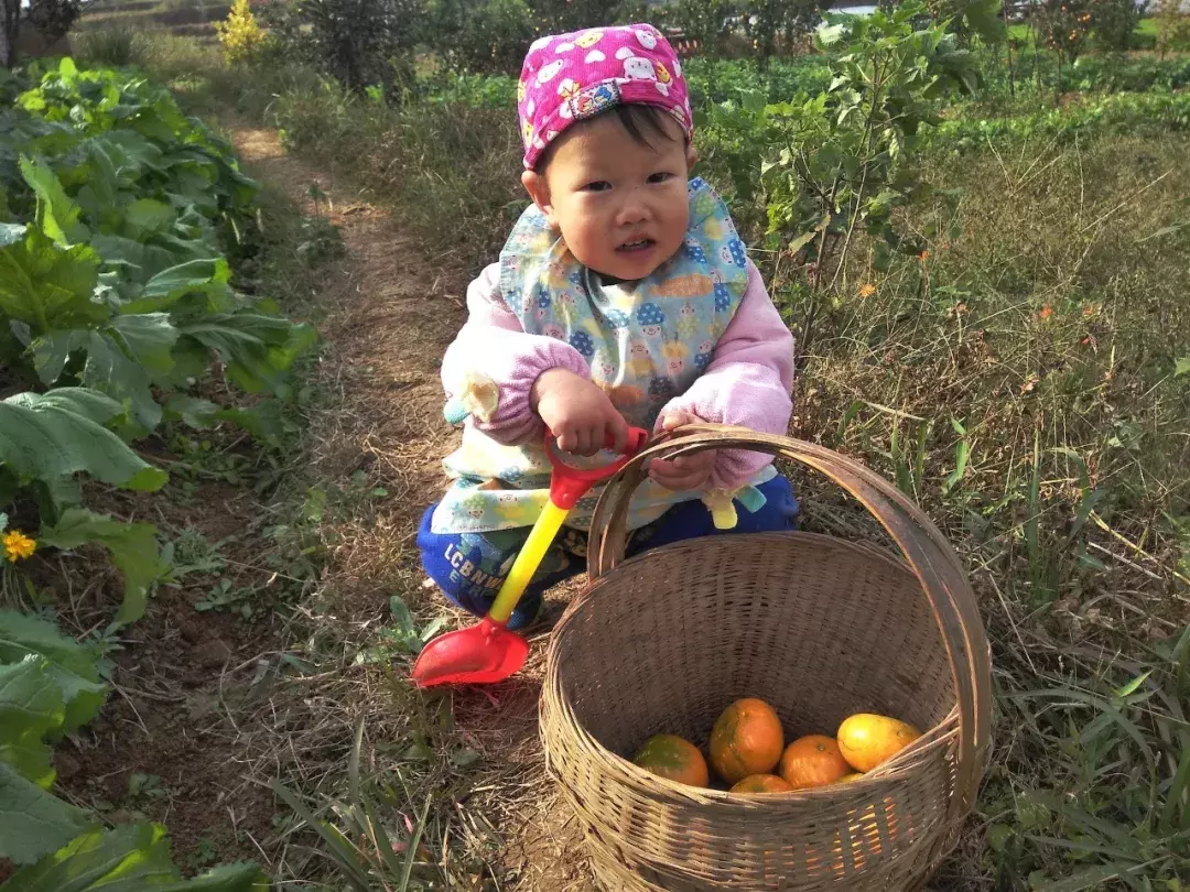 3万元也能建农场，一个家庭农场的账本和生活方式