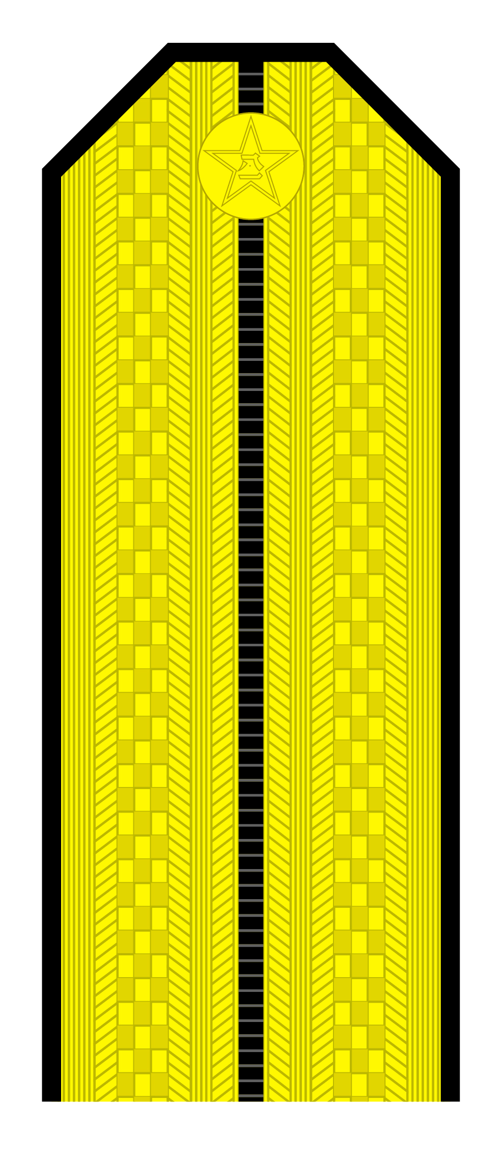 解放军肩章大小图片（解放军55式军衔军官常服肩章一览）