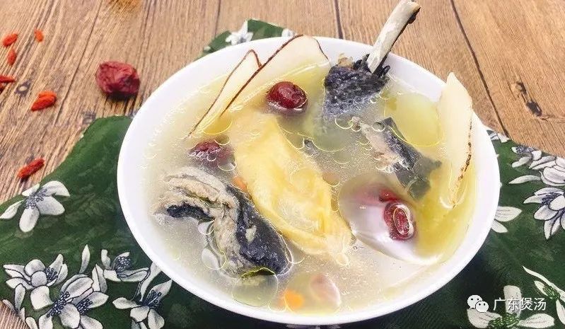 花胶和什么煲汤最适合？花胶煲汤的做法大全