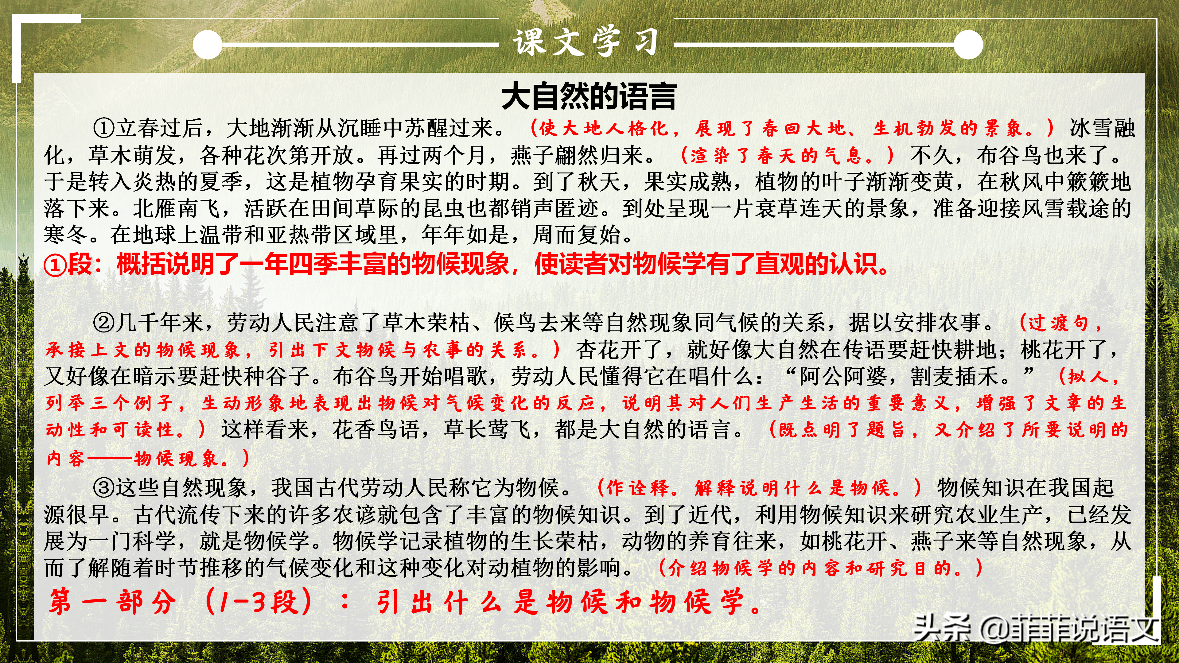 说明文语言特点，看看说明文该怎么学