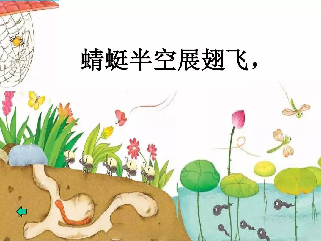 蜻蜓的蜻组词,蜻蜓的蜻组词两个字