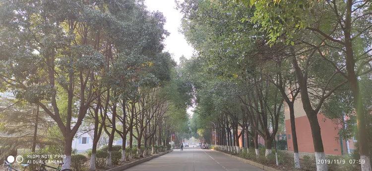 陪你一起看湖北省广水一中①——走进植物王国